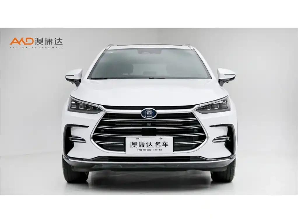 BYD Tang New Energy — фото 7