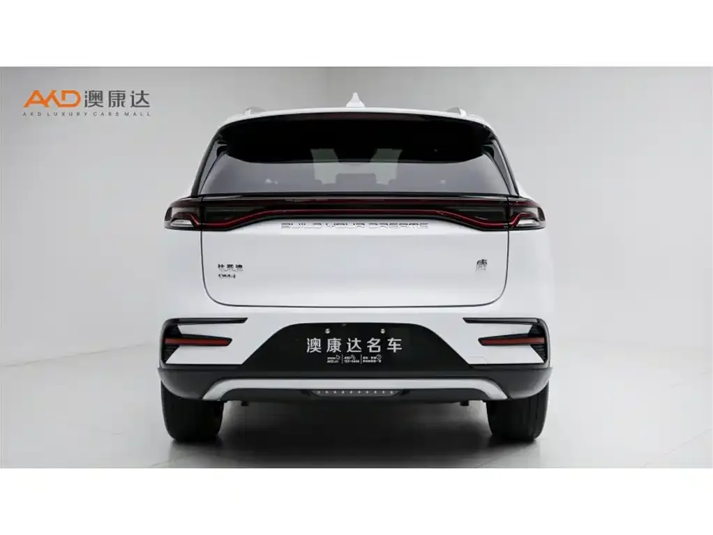 BYD Tang New Energy — фото 4