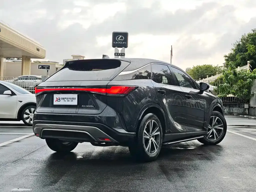 Lexus RX — фото 10