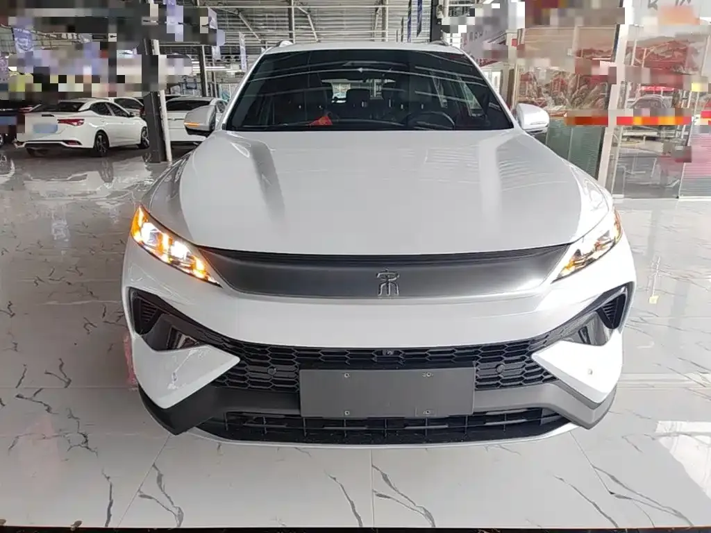 BYD Pro New Energy — фото 2
