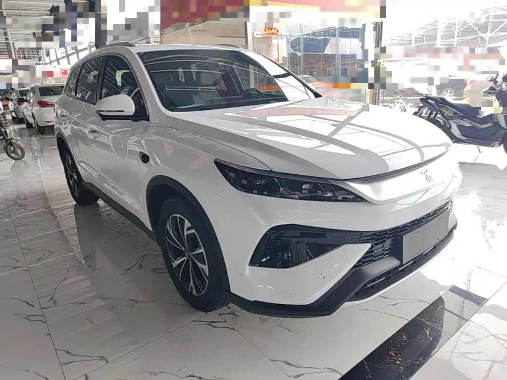 BYD Pro New Energy — фото 8