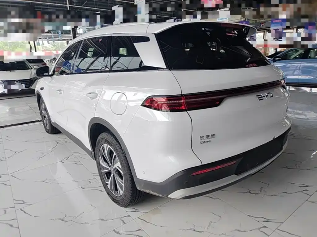 BYD Pro New Energy — фото 10