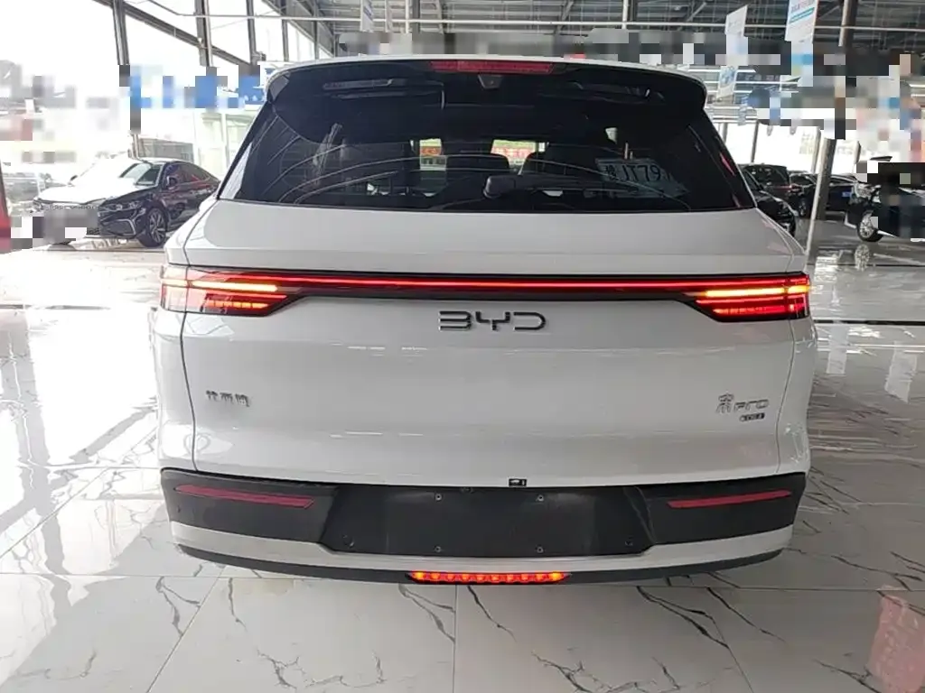 BYD Pro New Energy — фото 6