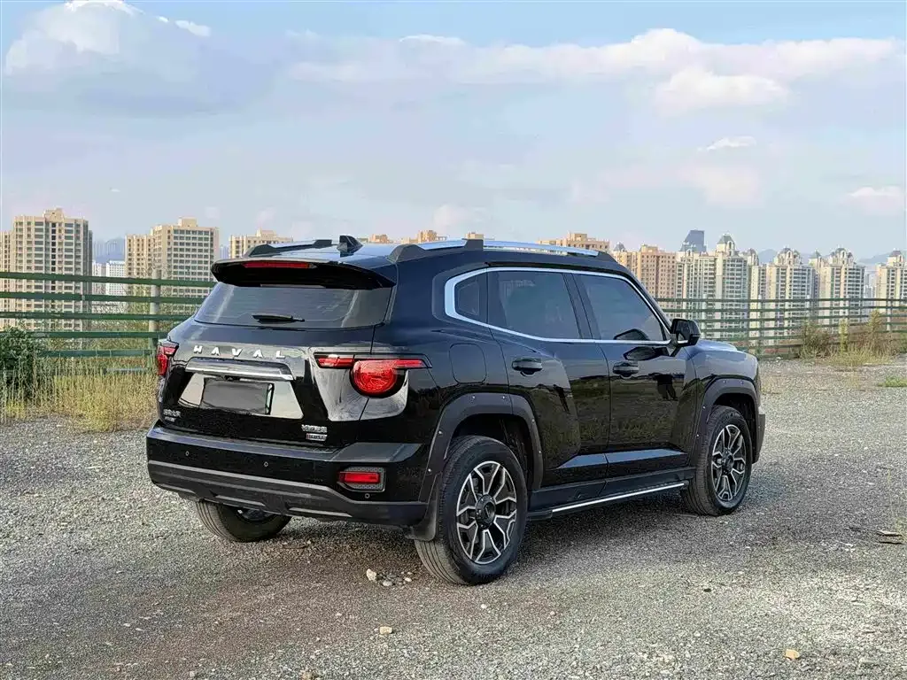 Haval H7 (Big Dog Plus) New Energy — фото 10