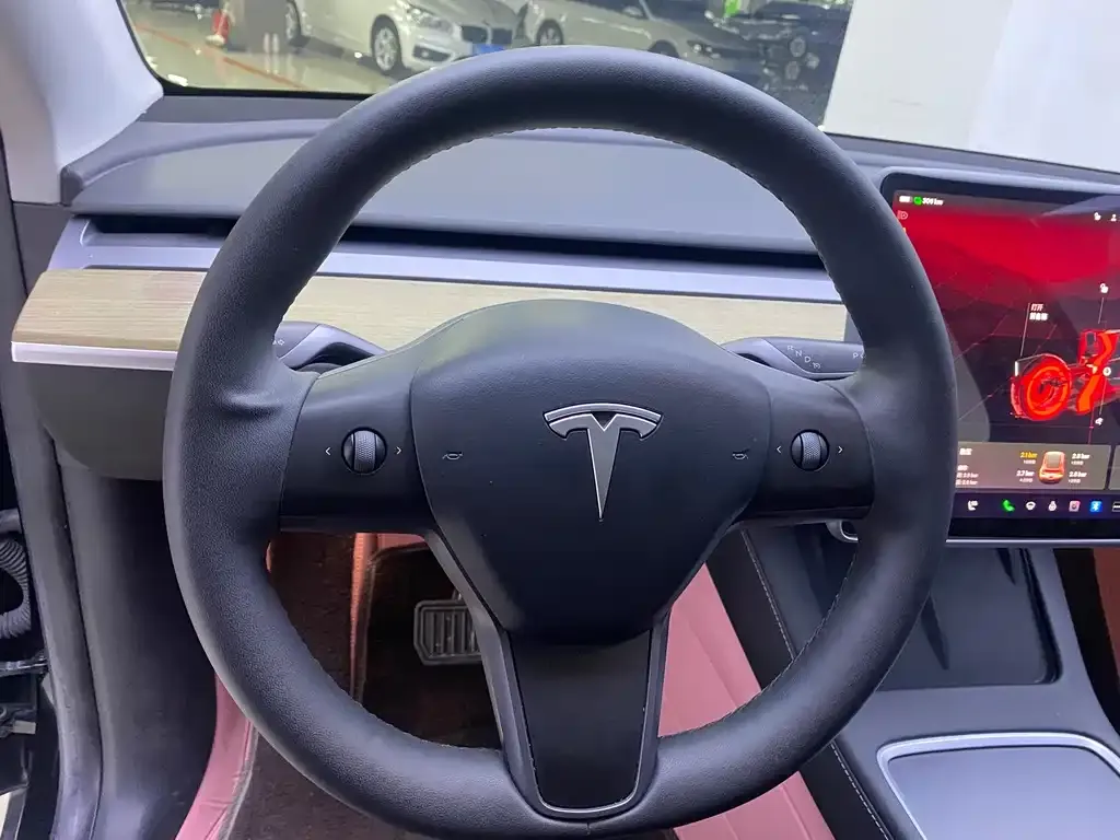 Tesla Model Y — фото 8