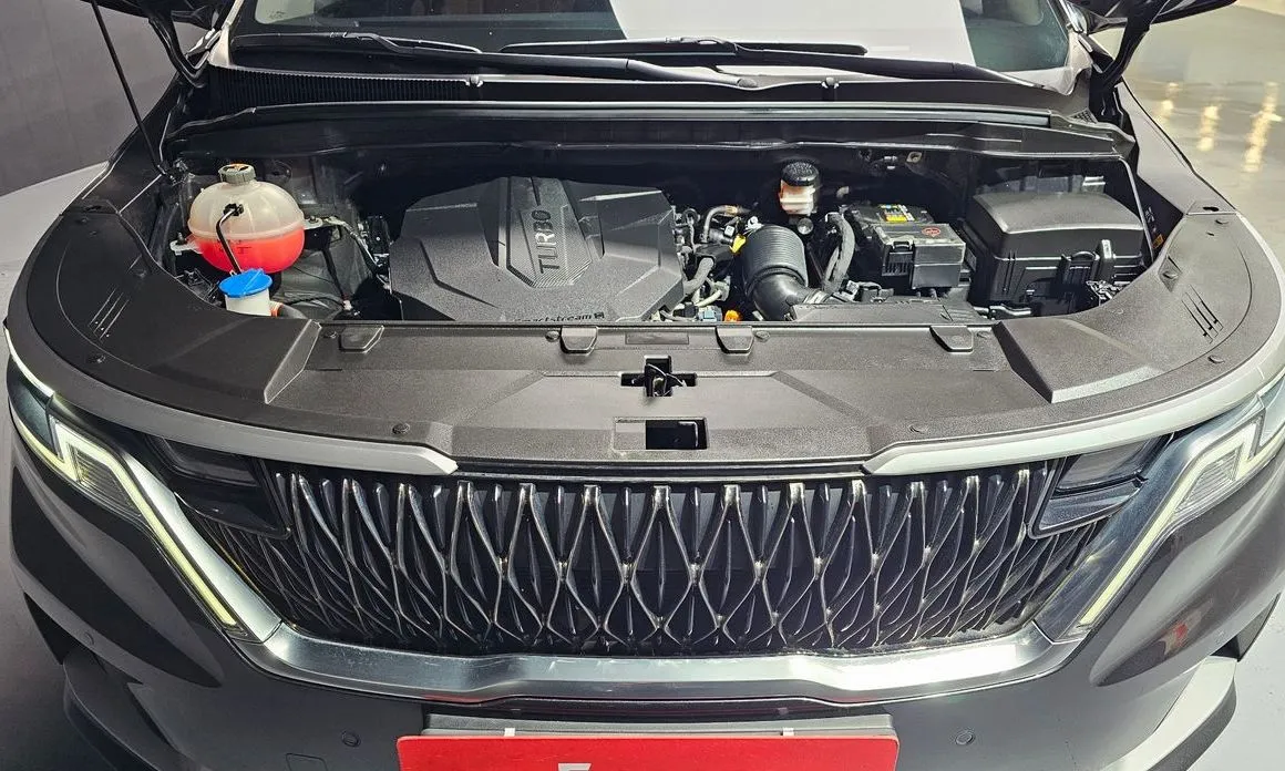Kia Carnival — фото 10