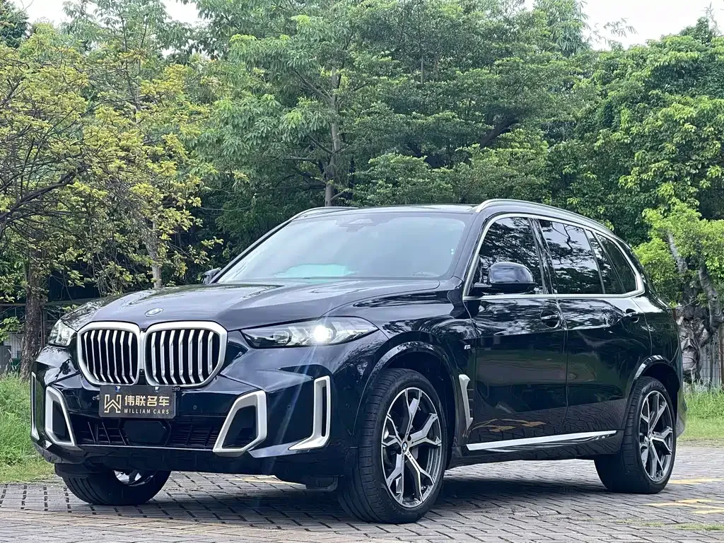 BMW X5 — фото 1