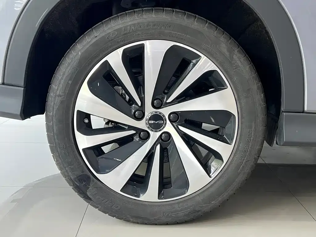 BYD PLUS New Energy — фото 5