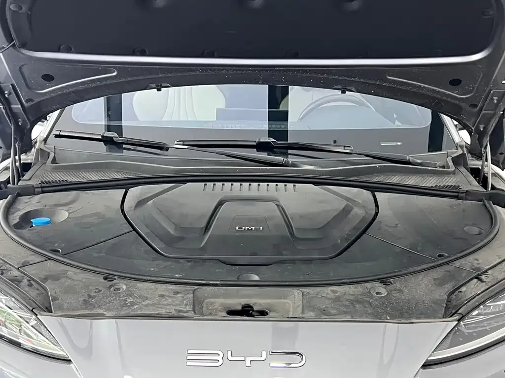 BYD PLUS New Energy — фото 8