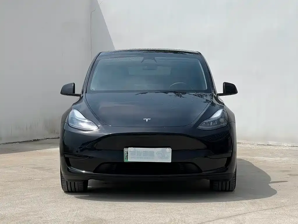 Tesla Model Y — фото 8