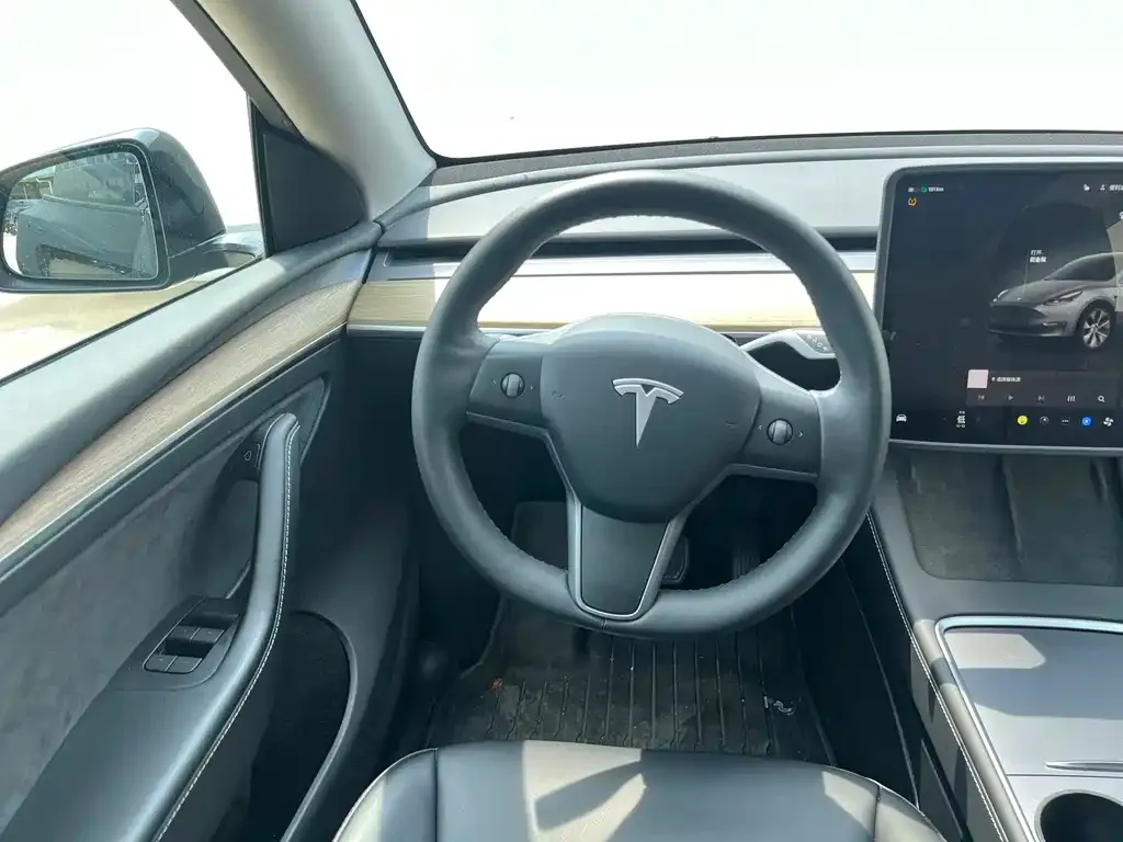 Tesla Model Y — фото 7