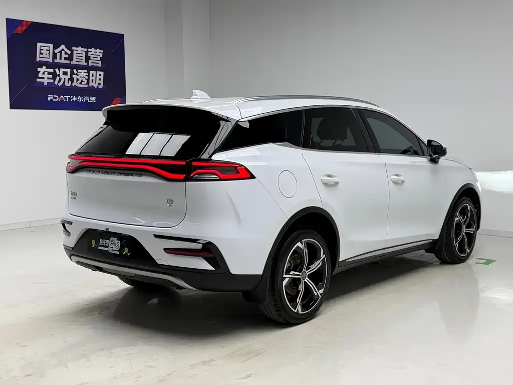 BYD Tang New Energy — фото 9