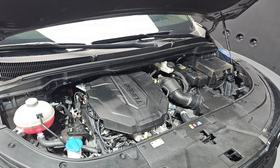 Kia Carnival — фото 10
