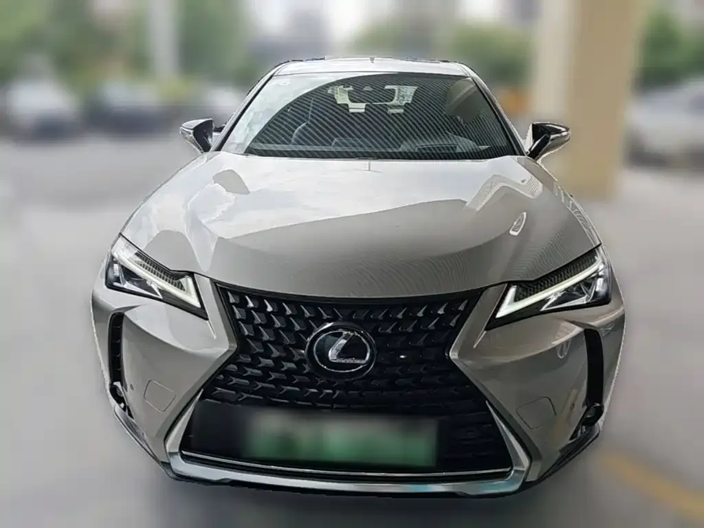 Lexus UX New Energy — фото 8