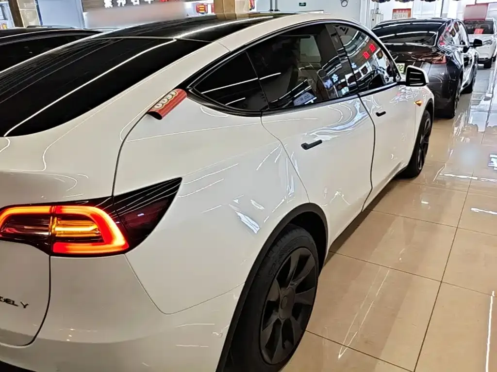 Tesla Model Y — фото 2