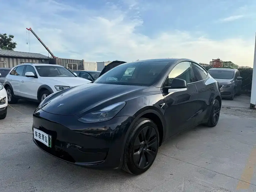 Tesla Model Y — фото 1