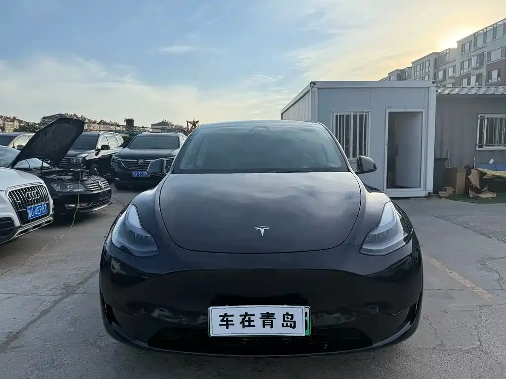 Tesla Model Y — фото 5
