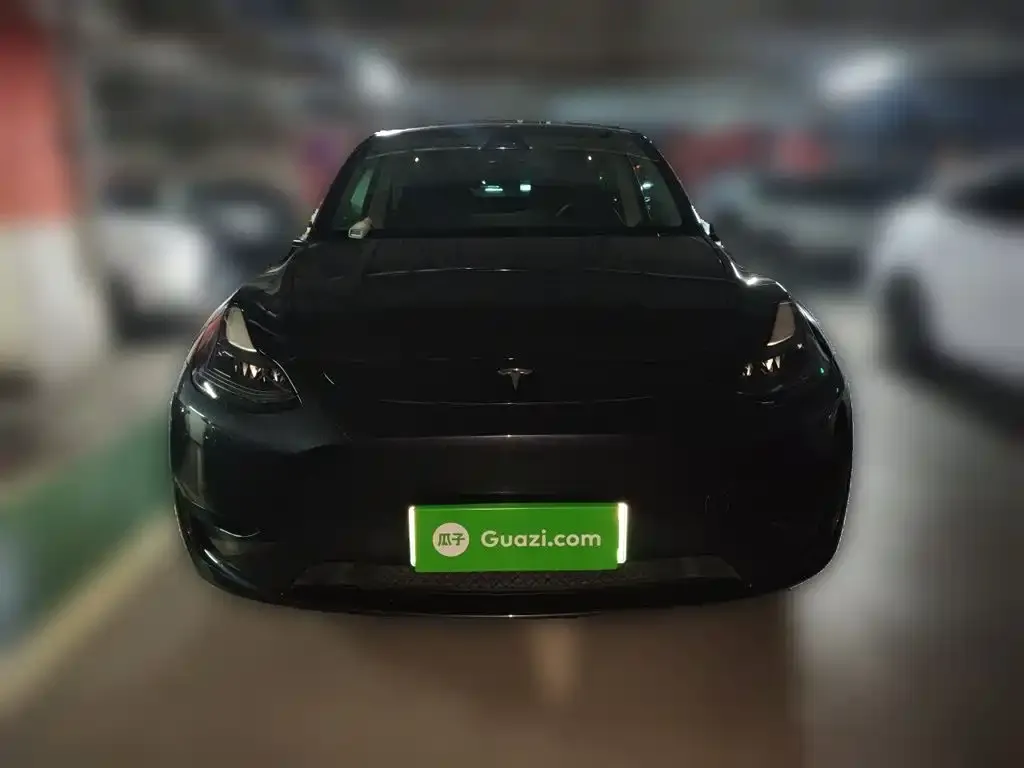 Tesla Model Y — фото 10