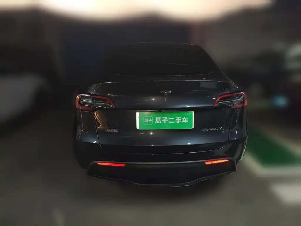 Tesla Model Y — фото 8
