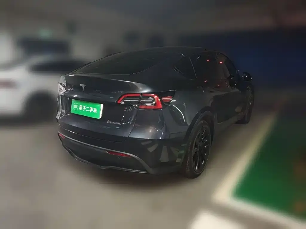 Tesla Model Y — фото 3