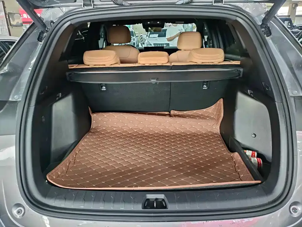 BYD L DM-i — фото 7