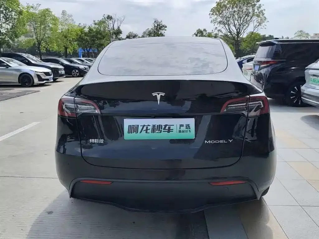 Tesla Model Y — фото 5