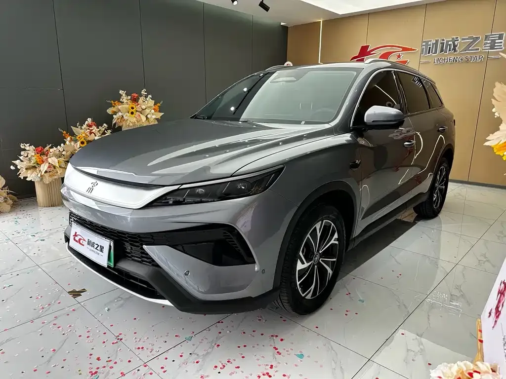 BYD Pro New Energy — фото 1
