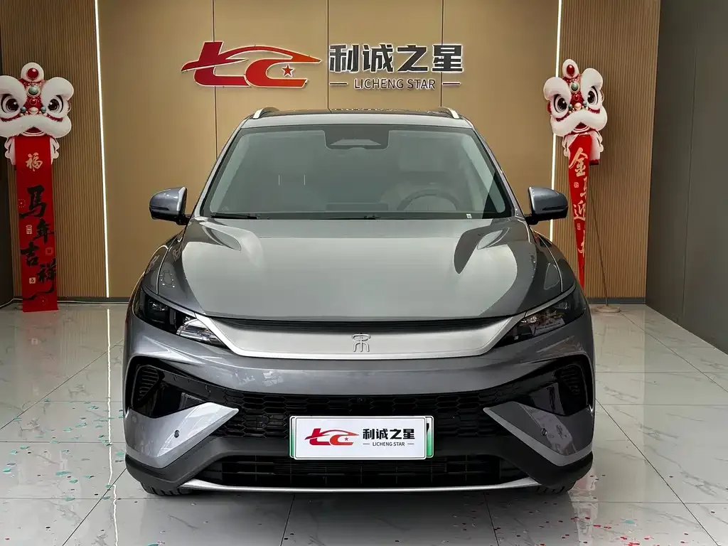 BYD Pro New Energy — фото 9