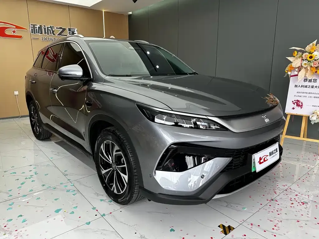 BYD Pro New Energy — фото 10