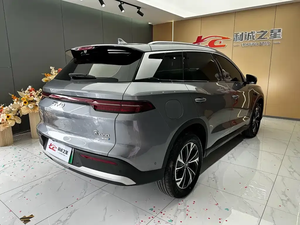 BYD Pro New Energy — фото 8