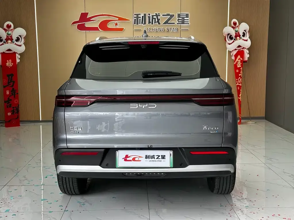 BYD Pro New Energy — фото 3