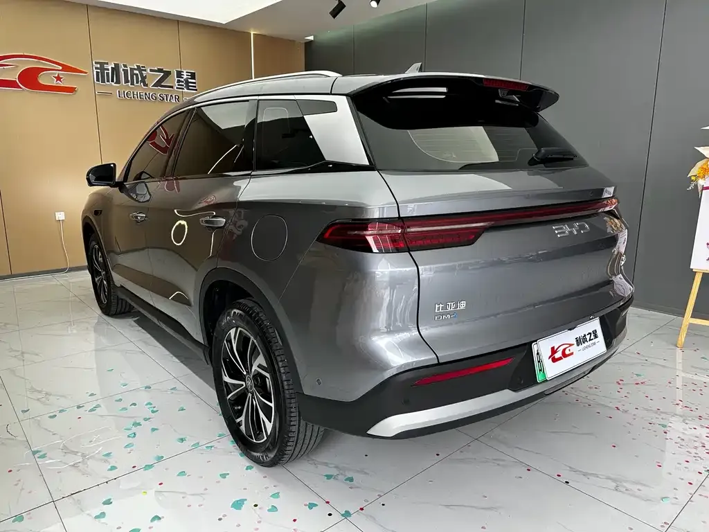 BYD Pro New Energy — фото 6