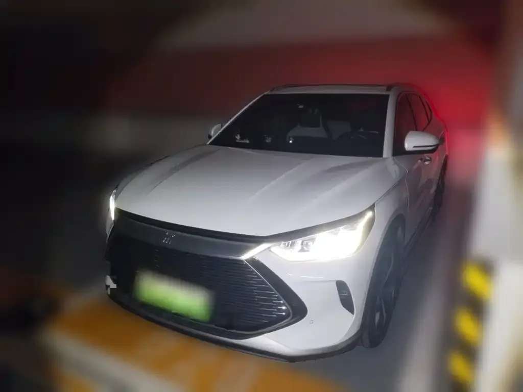 BYD PLUS New Energy — фото 1
