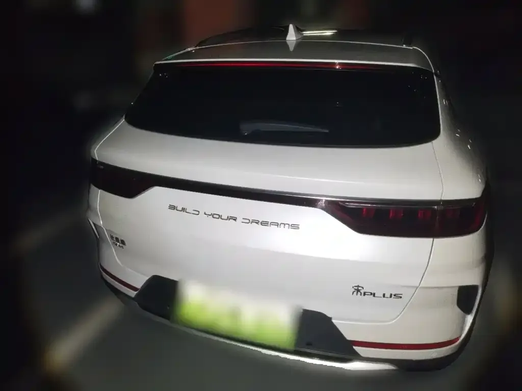 BYD PLUS New Energy — фото 4