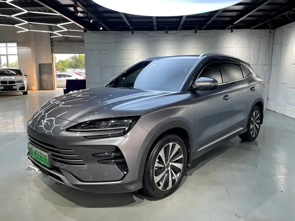BYD PLUS New Energy — фото 1