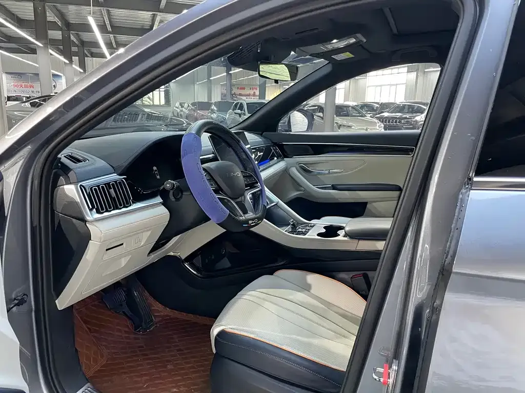 BYD PLUS New Energy — фото 10
