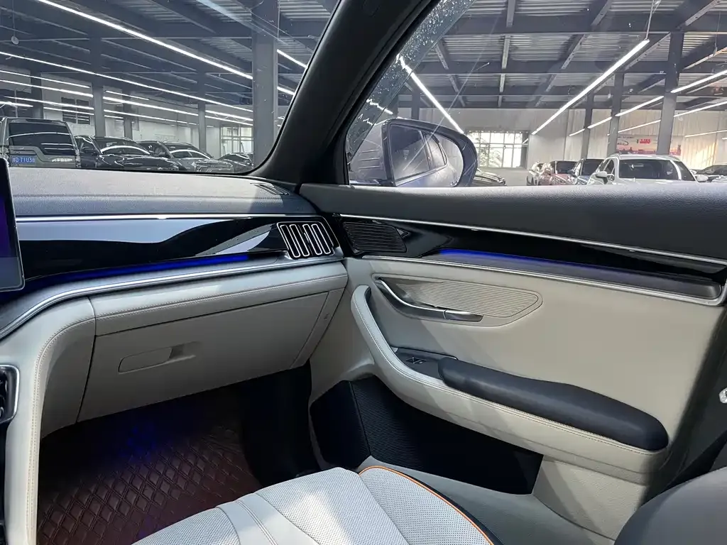 BYD PLUS New Energy — фото 6