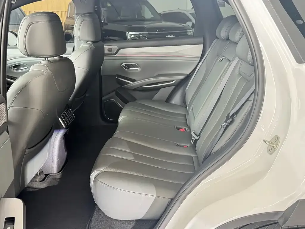 BYD L DM-i — фото 8