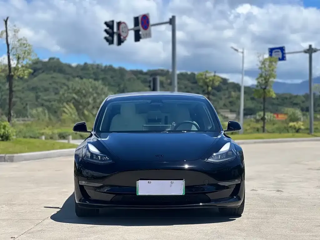 Tesla Model 3 — фото 2