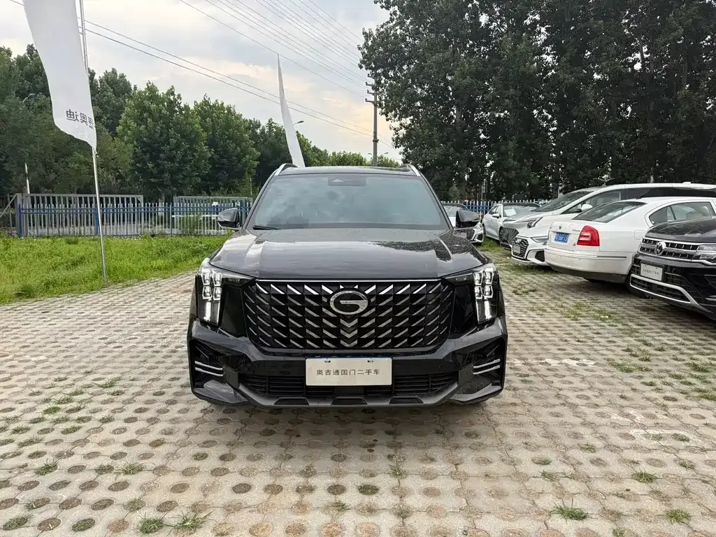 GAC Motor Trumpchi GS8 — фото 6