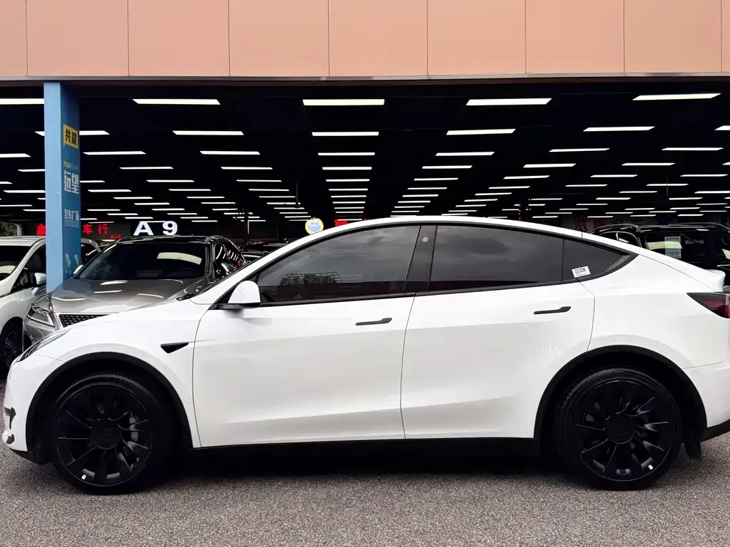 Tesla Model Y — фото 3
