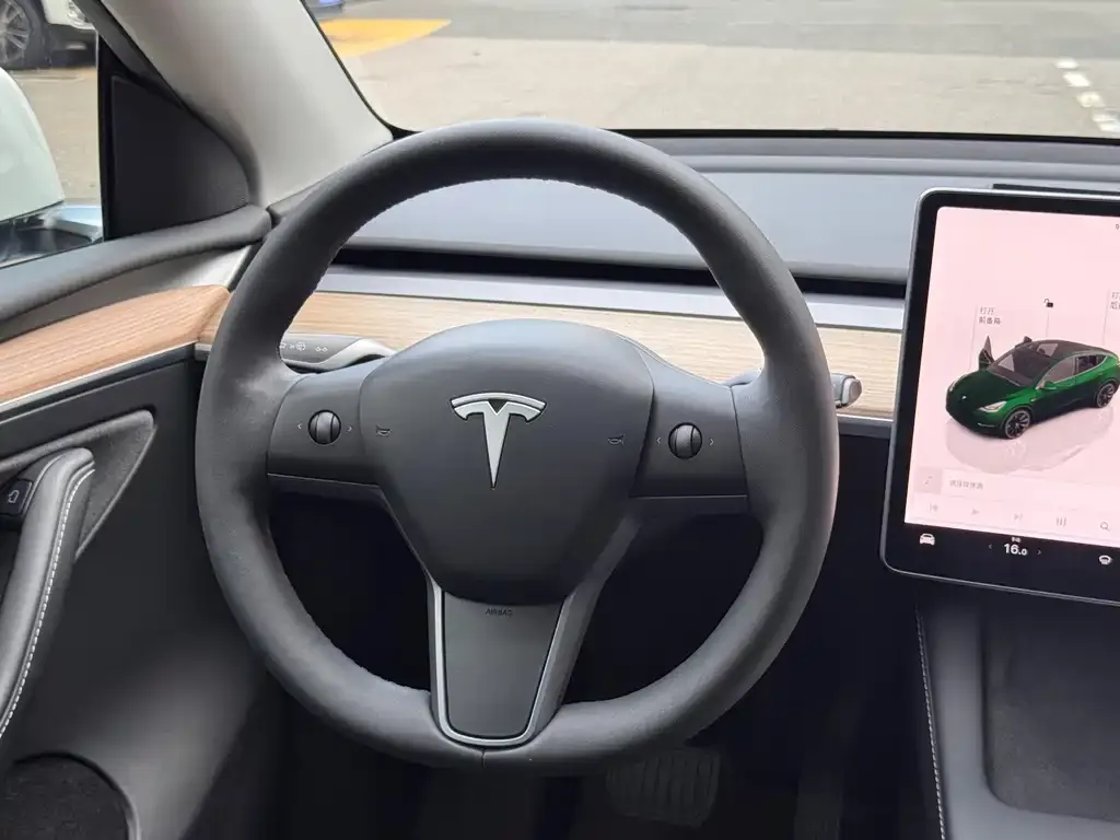 Tesla Model Y — фото 10