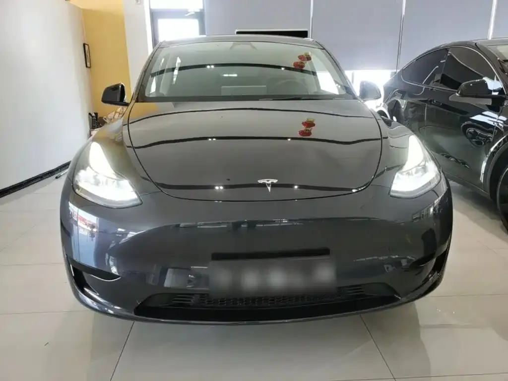 Tesla Model Y — фото 2
