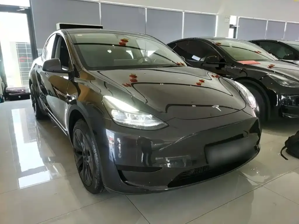 Tesla Model Y — фото 3