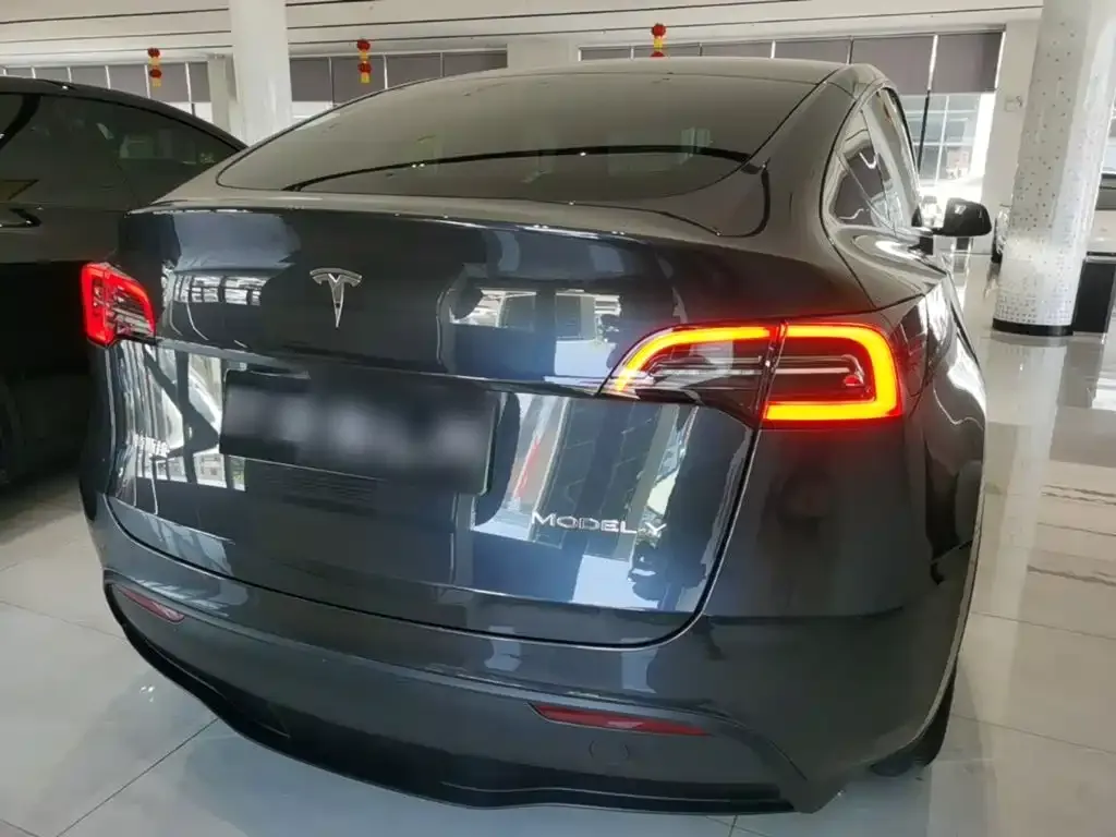 Tesla Model Y — фото 9