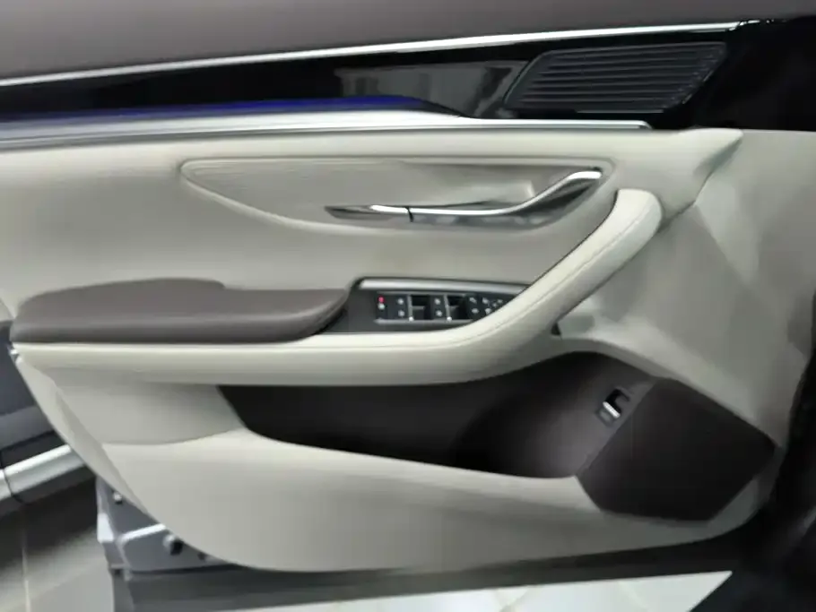 BYD PLUS New Energy — фото 2