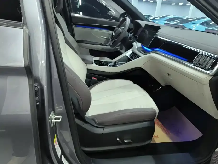 BYD PLUS New Energy — фото 4