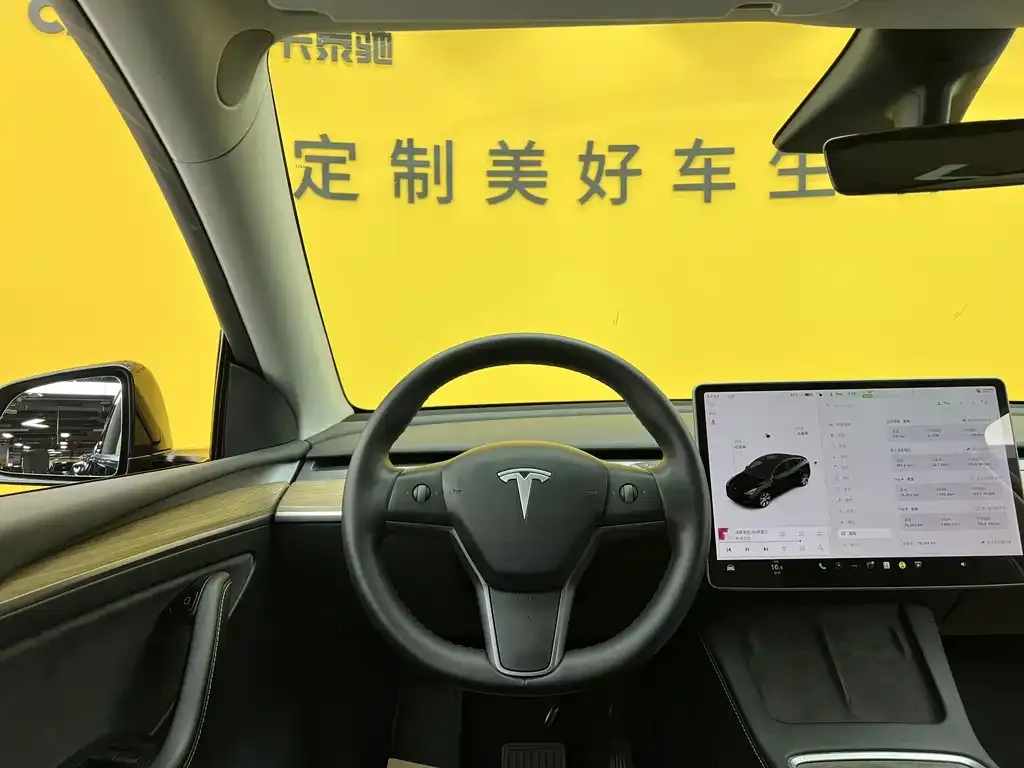 Tesla Model Y — фото 10