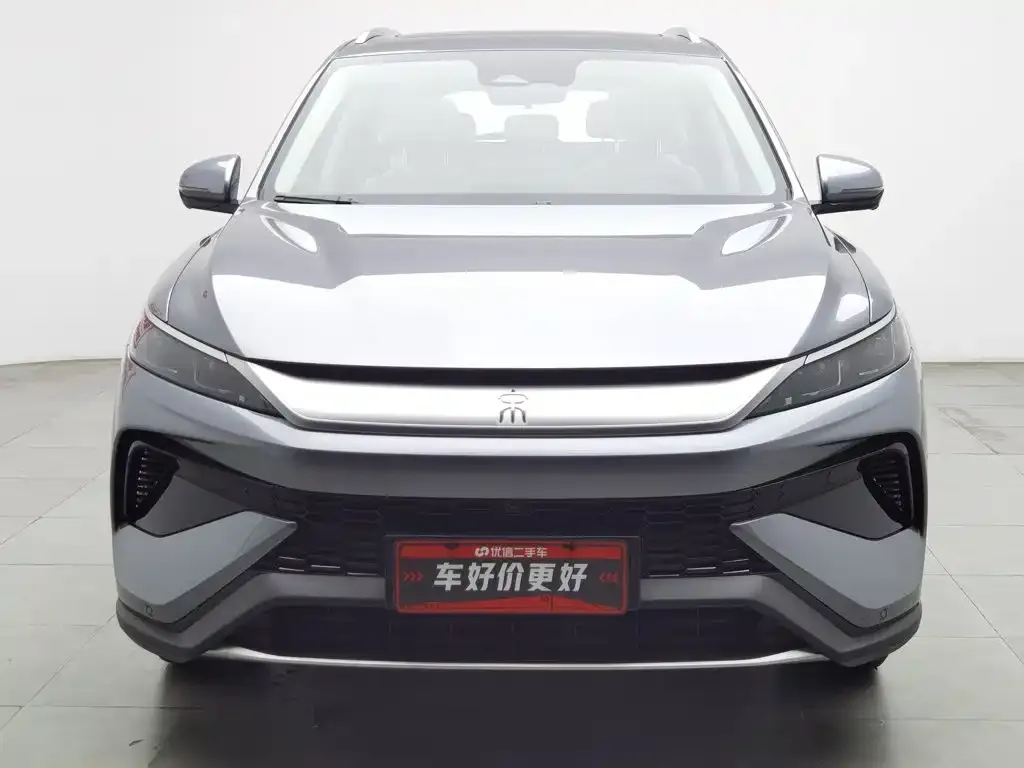 BYD Pro New Energy — фото 4