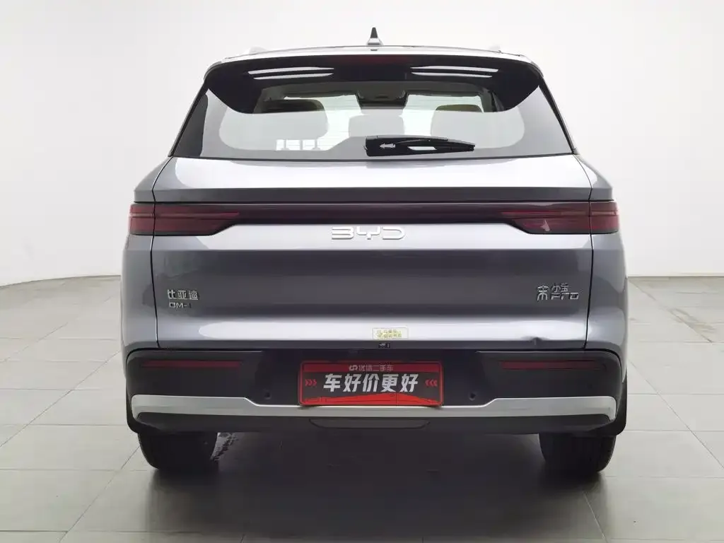 BYD Pro New Energy — фото 2